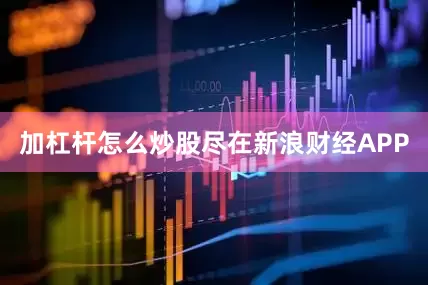 加杠杆怎么炒股尽在新浪财经APP